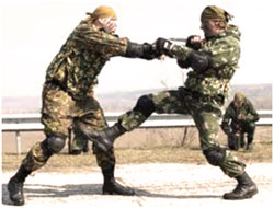 Армейский рукопашный бой