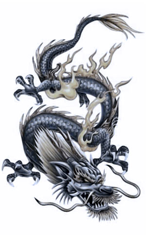 Фуцзяньский стиль ушу Лун цюань — «Кулак дракона».