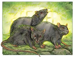 В доме Зеленого доктора поселились крысы