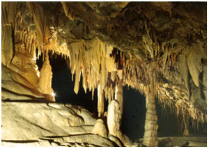 Пещера Желтого дракона